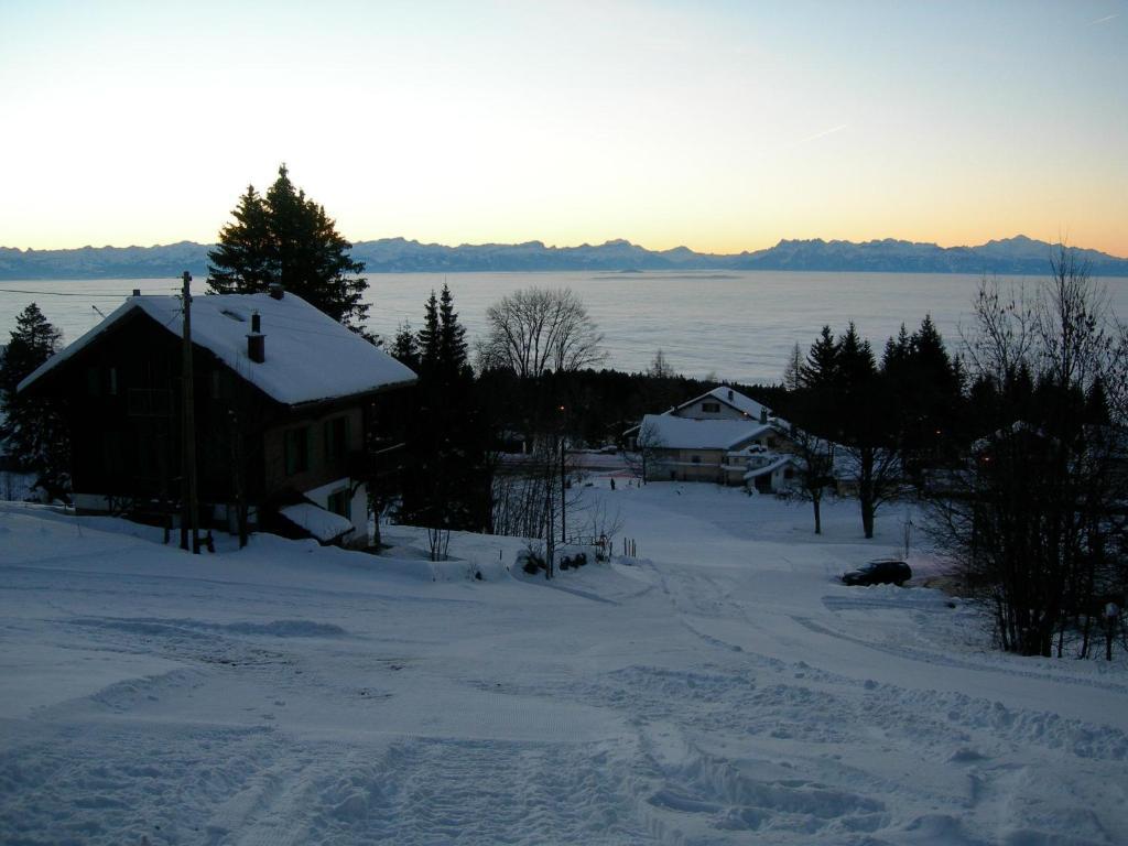 Le Coucou Et Chalet Beau-Site 호텔 레라세스 외부 사진
